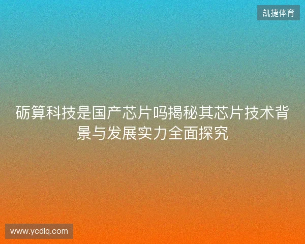砺算科技是国产芯片吗揭秘其芯片技术背景与发展实力全面探究